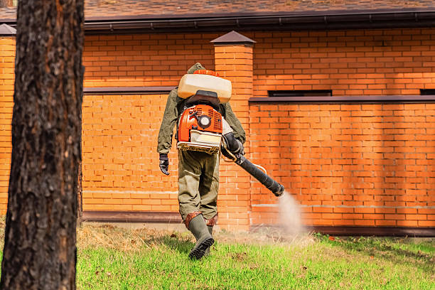 Trusted Fumigation Services service in Diablo Grande, CA - Nex Pest Control